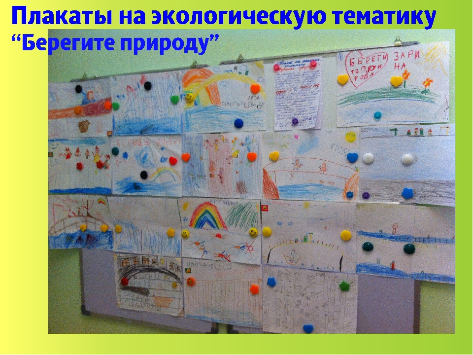 Презентация экологического проекта в подготовительной группе "Юные экологи"