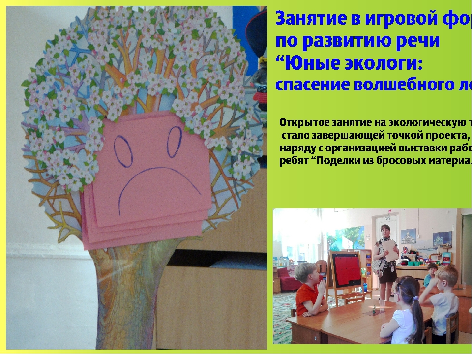 Презентация экологического проекта в подготовительной группе "Юные экологи"