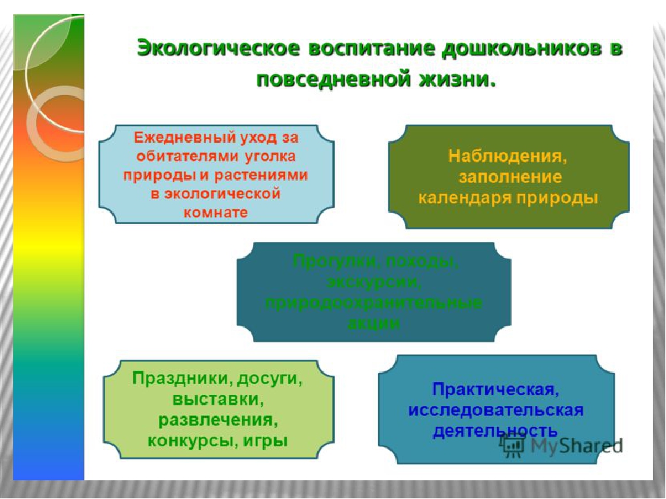 Презентация проекта В подготовительной группе ДОУ "Комнатные растения"