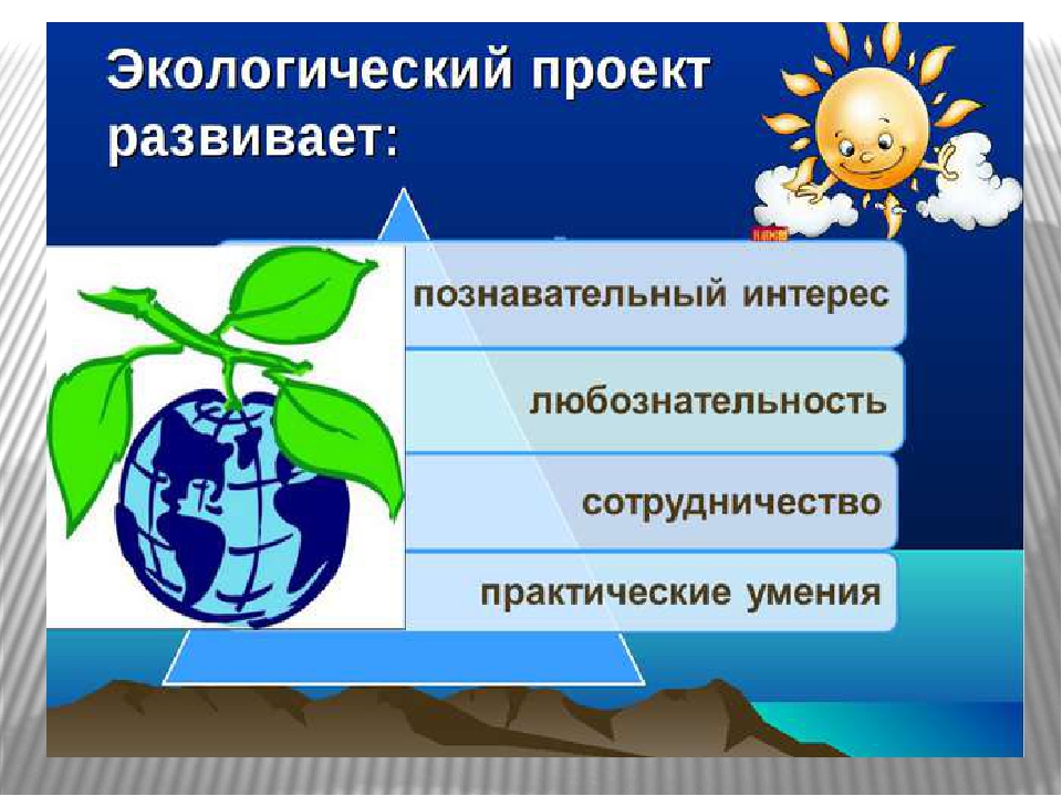Презентация проекта В подготовительной группе ДОУ "Комнатные растения"