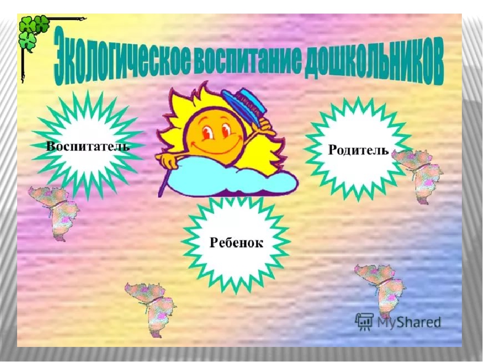 Презентация проекта В подготовительной группе ДОУ "Комнатные растения"