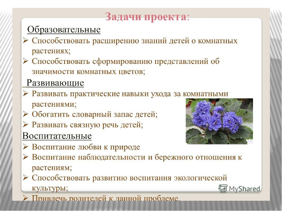 Презентация проекта В подготовительной группе ДОУ "Комнатные растения"