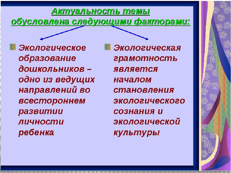 Презентация проекта В подготовительной группе ДОУ "Комнатные растения"