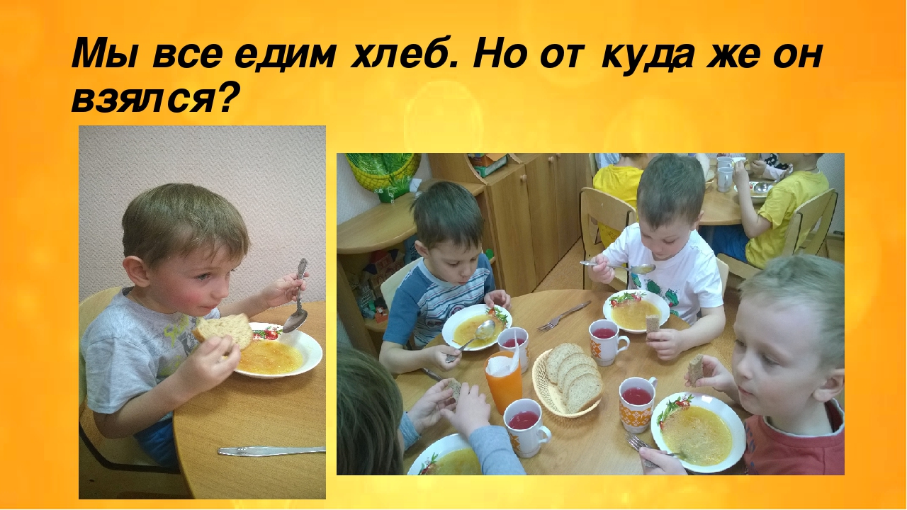 Презентация проекта "Из чего сделан хлеб?"