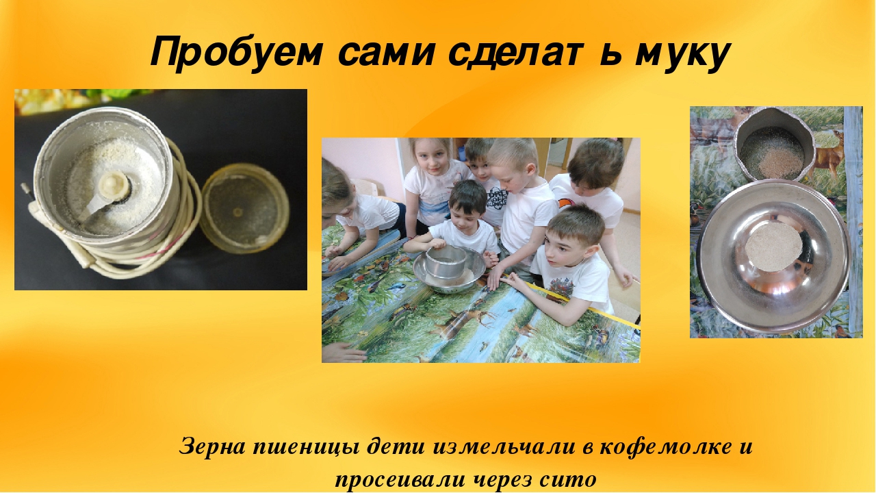 Презентация проекта "Из чего сделан хлеб?"