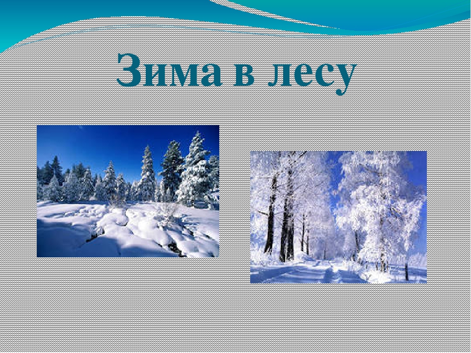 Презентация по ФЦКМ в младшей группе "Покормим птиц зимой".