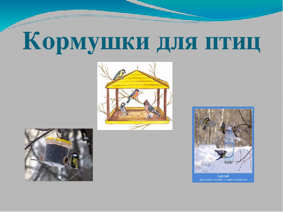 Презентация по ФЦКМ в младшей группе "Покормим птиц зимой".