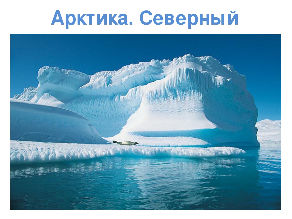 Презентация по художественной деятельности "Северный полюс"