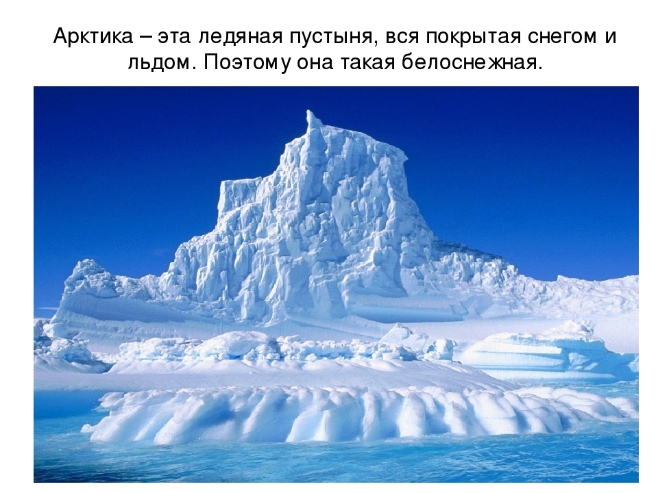 Презентация по художественной деятельности "Северный полюс"