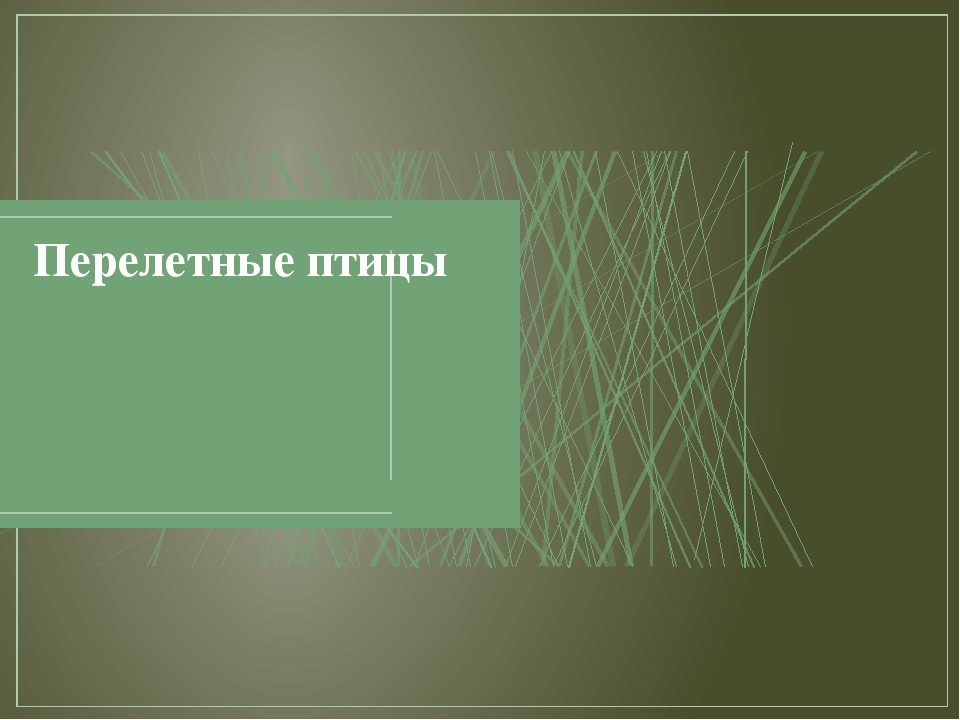 Презентация по художественной деятельности "Перелетные птицы"