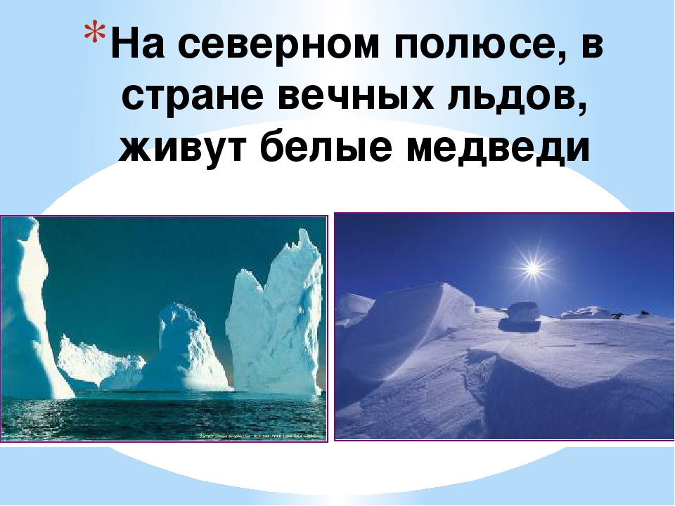 Презентация по художественной деятельности "Белые медведи"