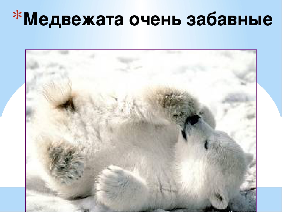 Презентация по художественной деятельности "Белые медведи"