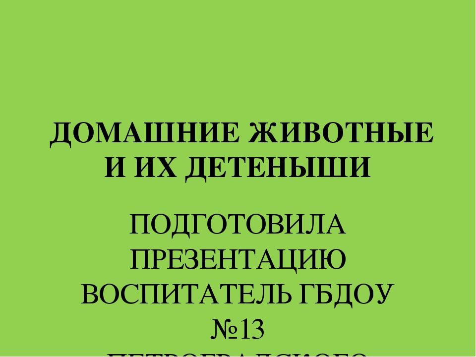 Презентация "Домашние животные и их детеныши"