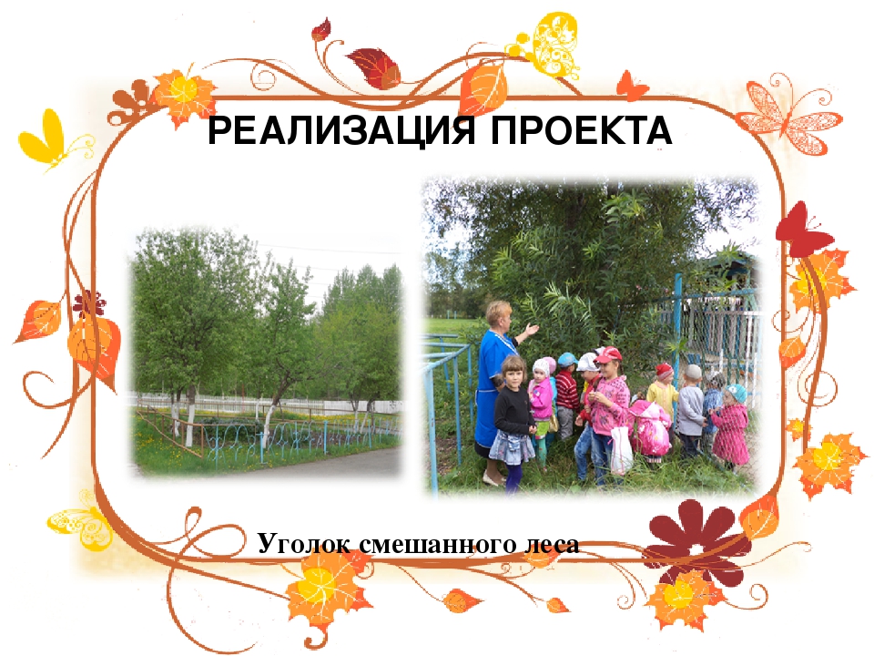 Презентация по экологическому воспитанию детей дошкольного возраста