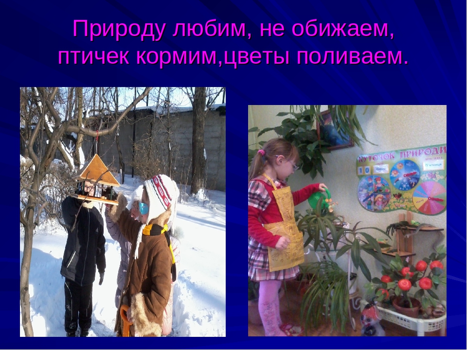 Презентация на тему:"Презентация группы"