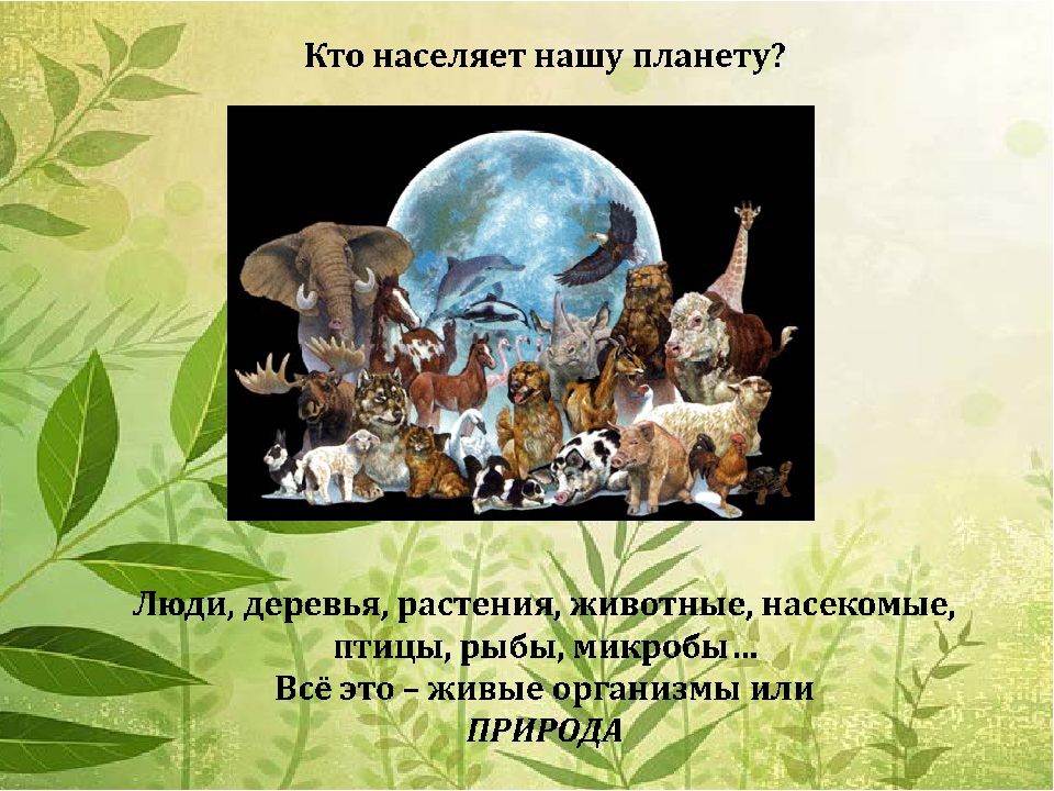 Презентация "За нашу планету"