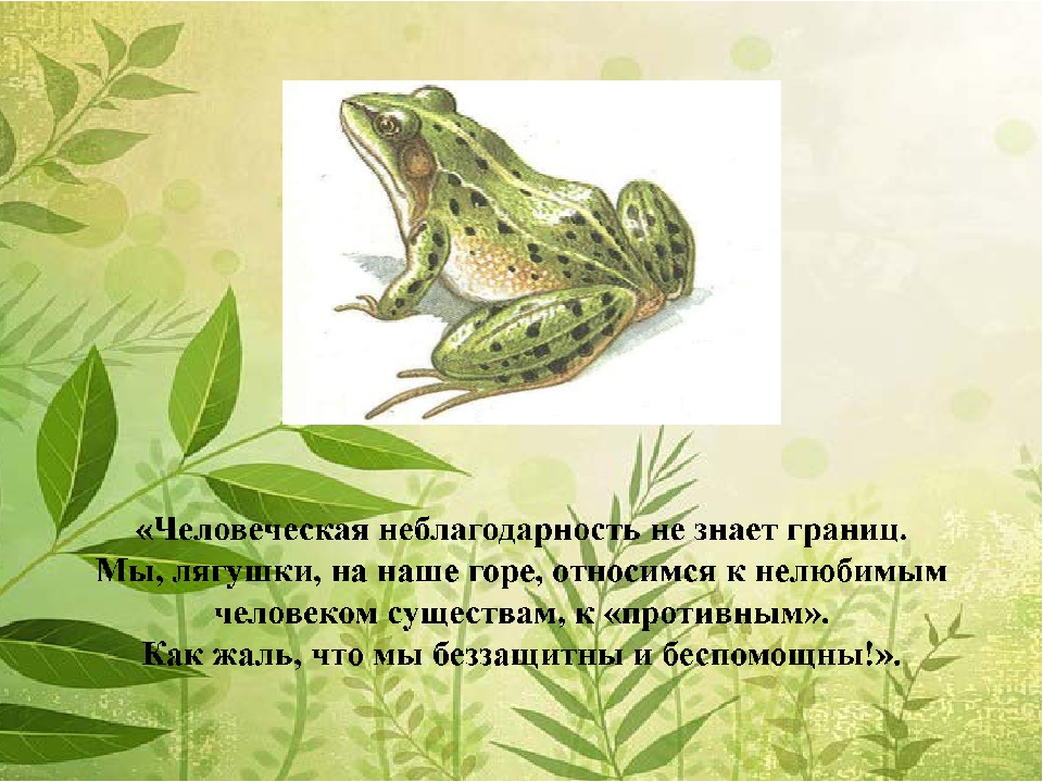 Презентация "За нашу планету"