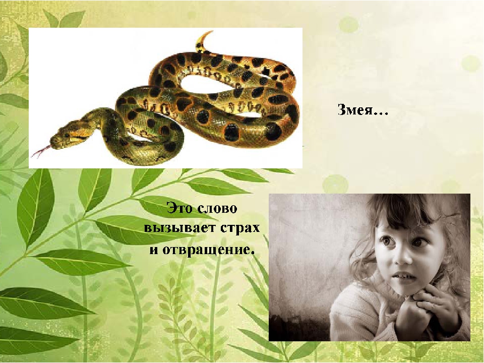 Презентация "За нашу планету"