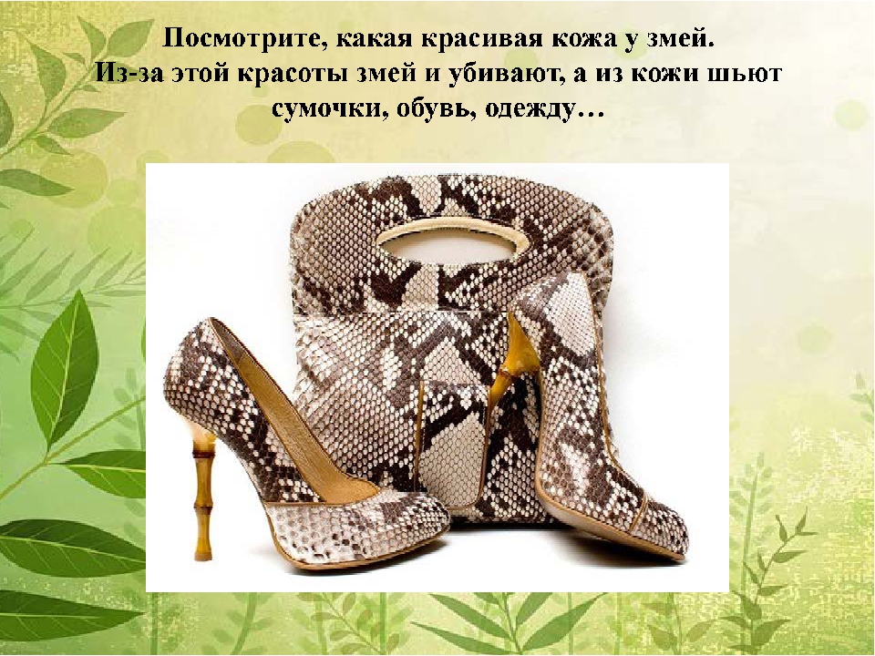 Презентация "За нашу планету"