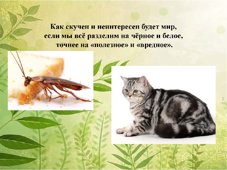 Презентация "За нашу планету"