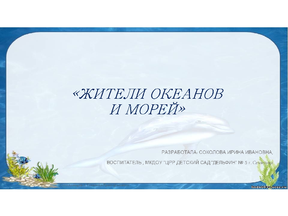 Презентация "Жители морей и океанов"