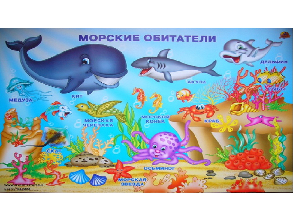 Презентация "Жители морей и океанов"