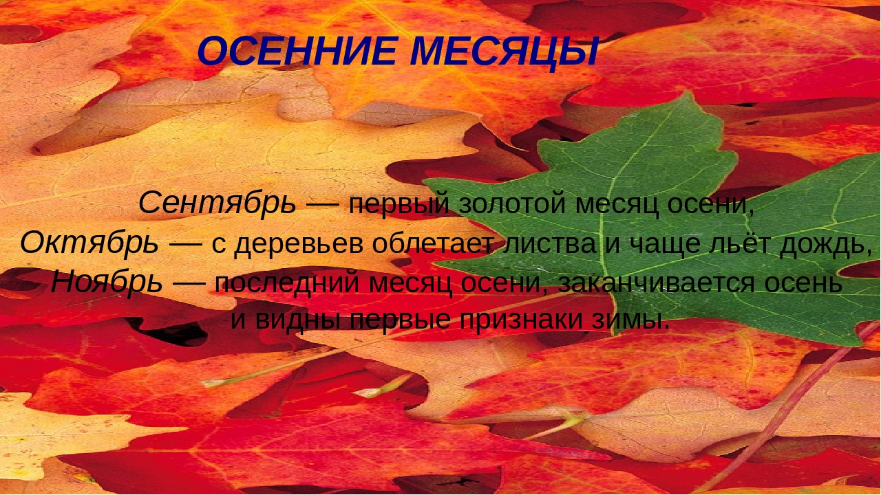 Презентация на тему "Осень".
