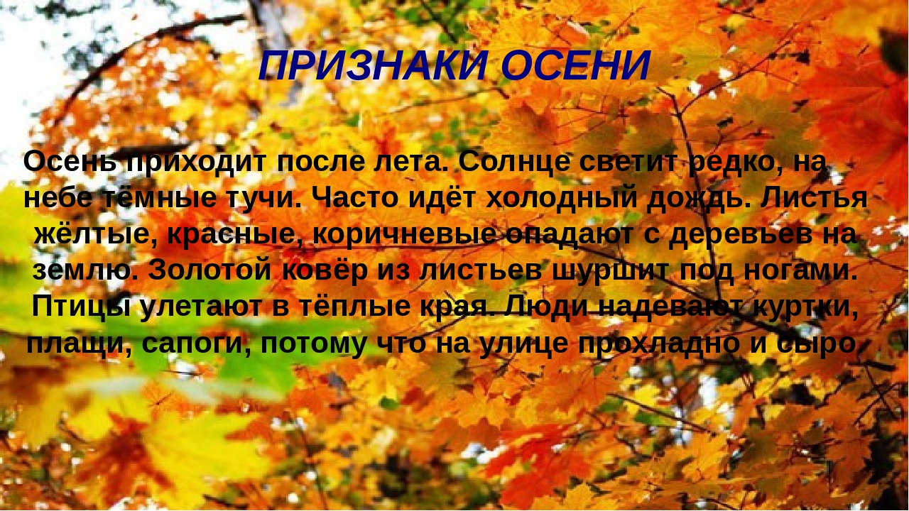 Презентация на тему "Осень".
