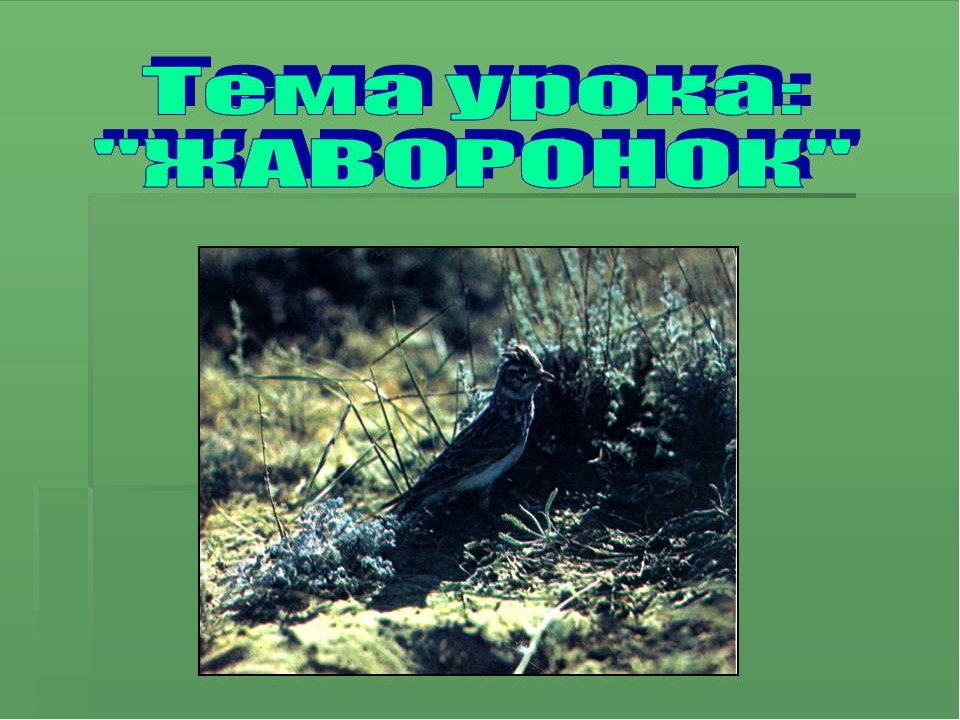 Тестопластика для детей старшего дошкольного возраста "Жаворонок"
