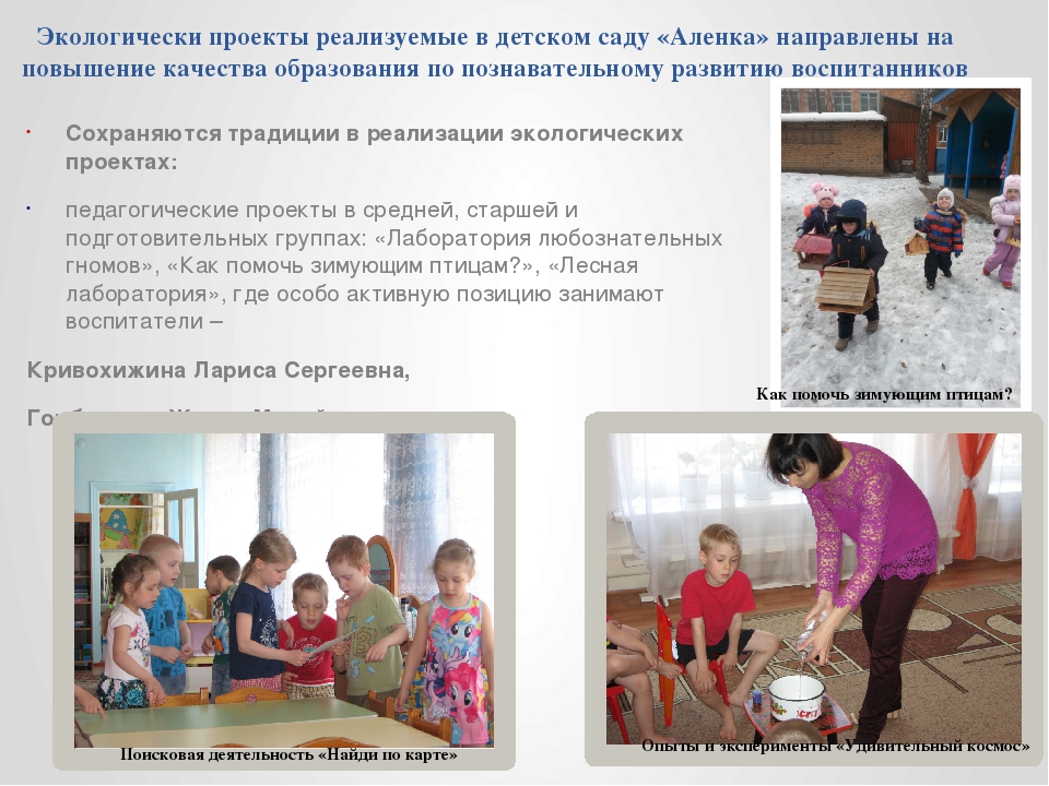 «Реализация экологических проектов «Мы познаем мир»