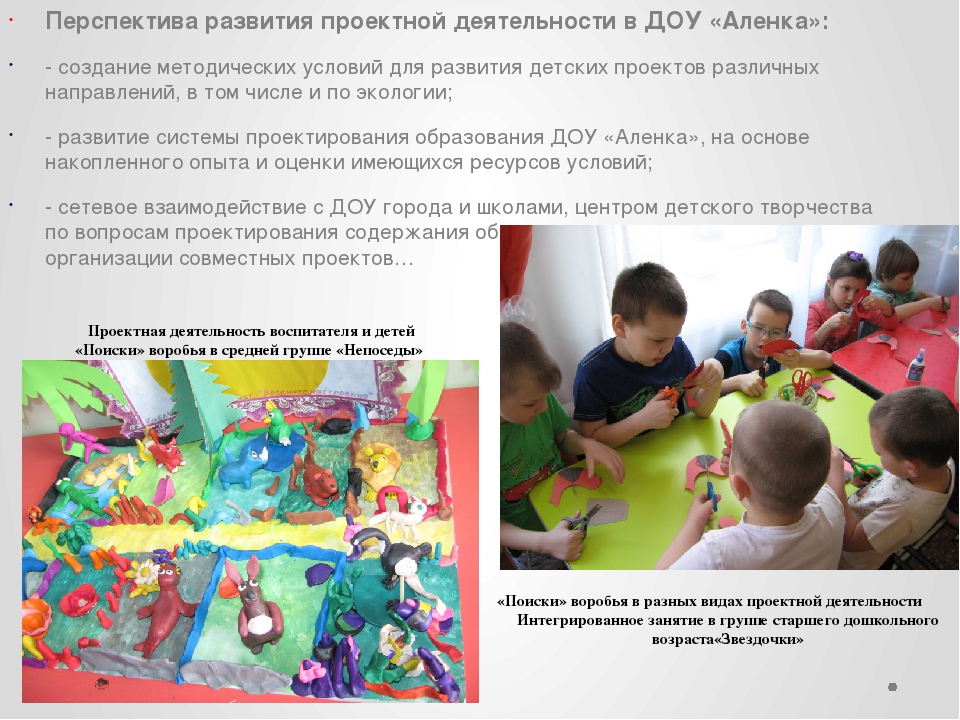 «Реализация экологических проектов «Мы познаем мир»