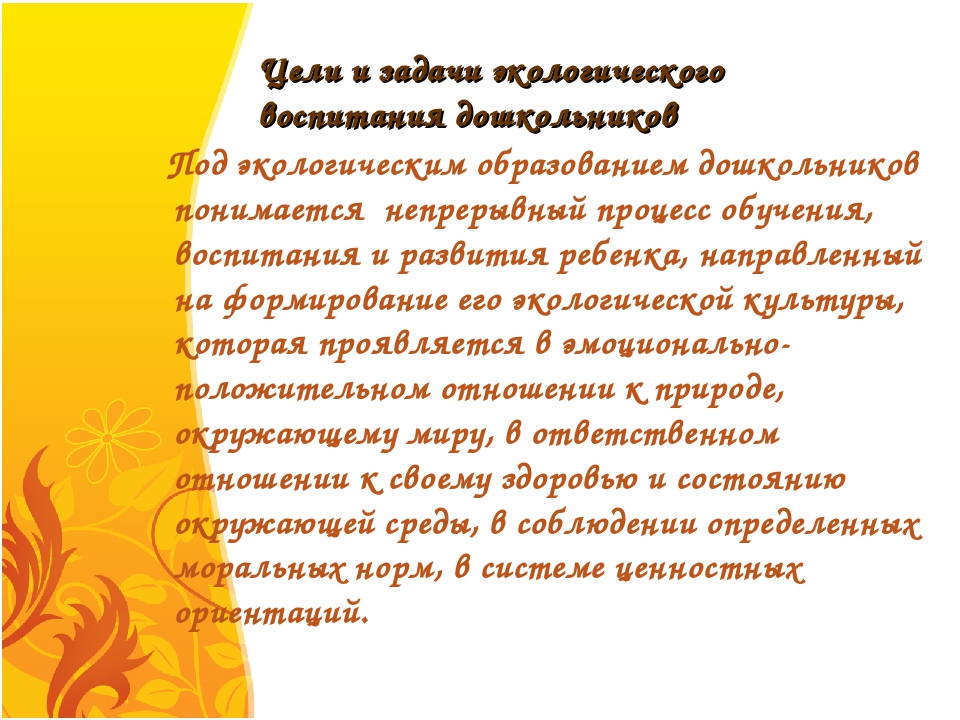 Презентация по экологическому воспитанию дошкольников
