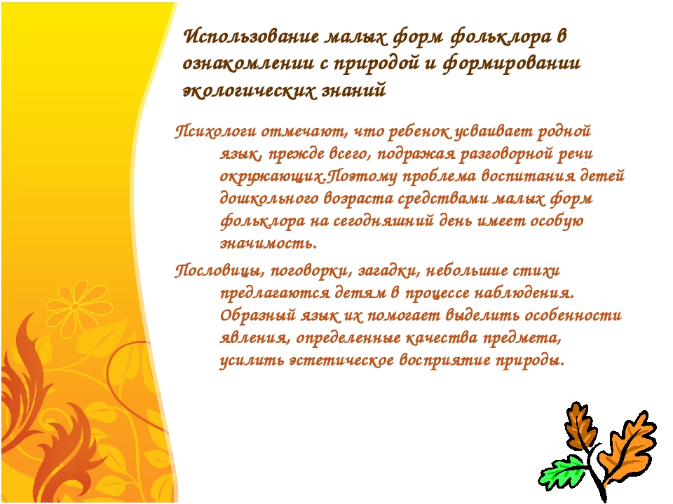 Презентация по экологическому воспитанию дошкольников
