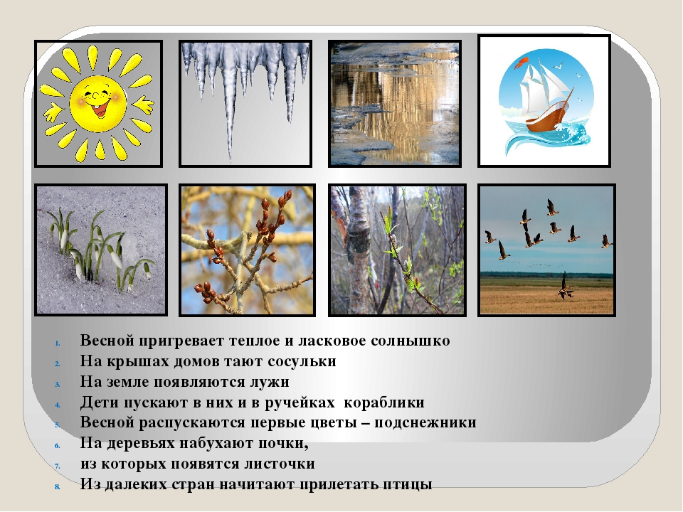 Презентация на тему "Мнемотехника"