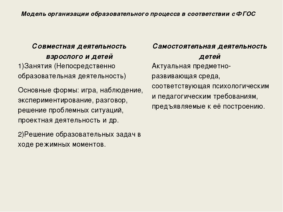 Презентация "Специфика организации образовательного процесса в ДОУ на основе ФГОС ДО"