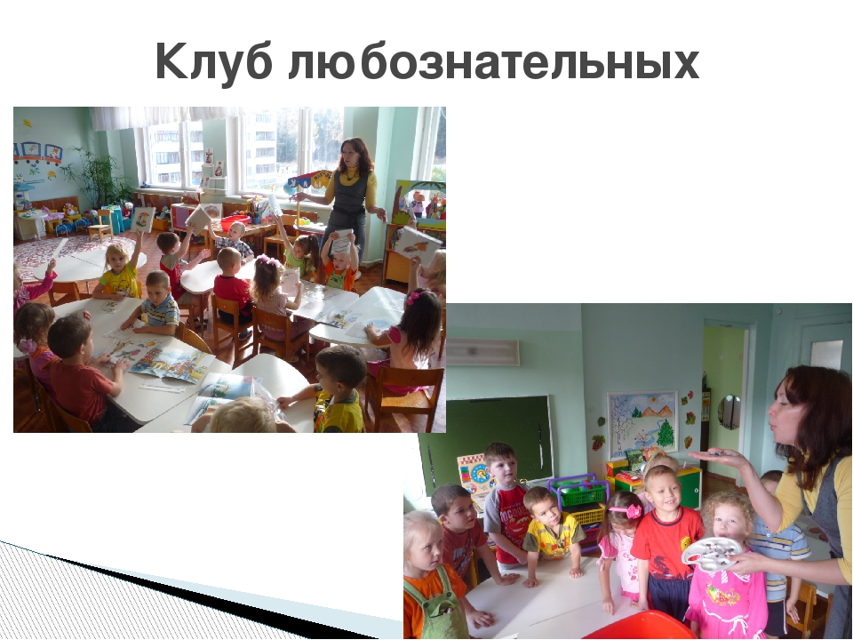 Презентация на тему "Организация проектной деятельности с детьми старшего дошкольного возраста"