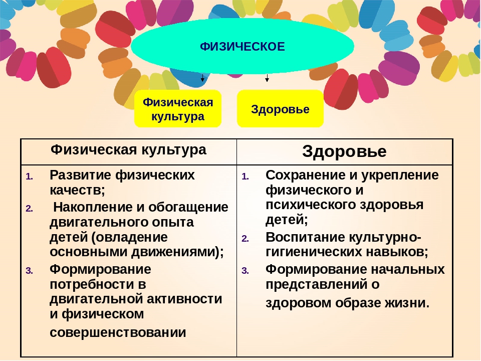 Образовательная область «Здоровье» раздел «Физическая Культура»