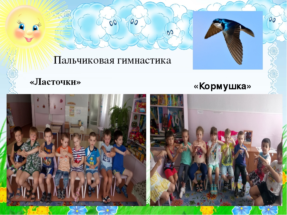 Презентация на тему: «Ласточки»