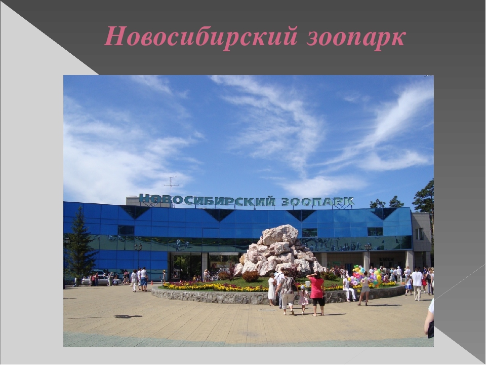 Презентация "Путешествие по городу - Новосибирск" (Старшая, подготовительная группа)