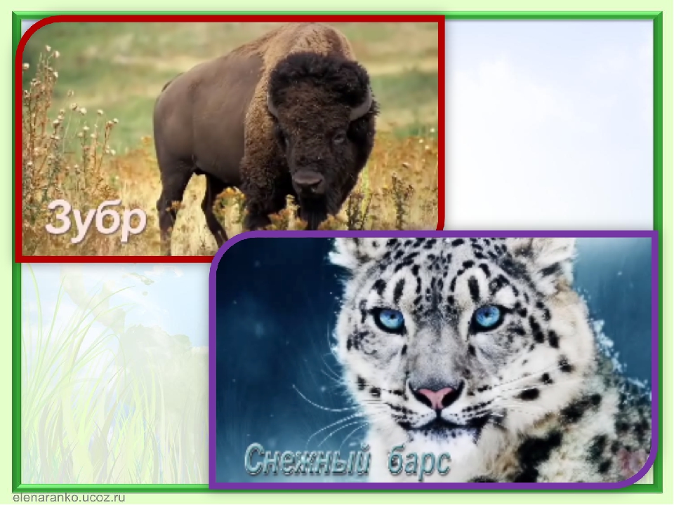 Презентация к конкурсу чтецов " Сохраним природу!"