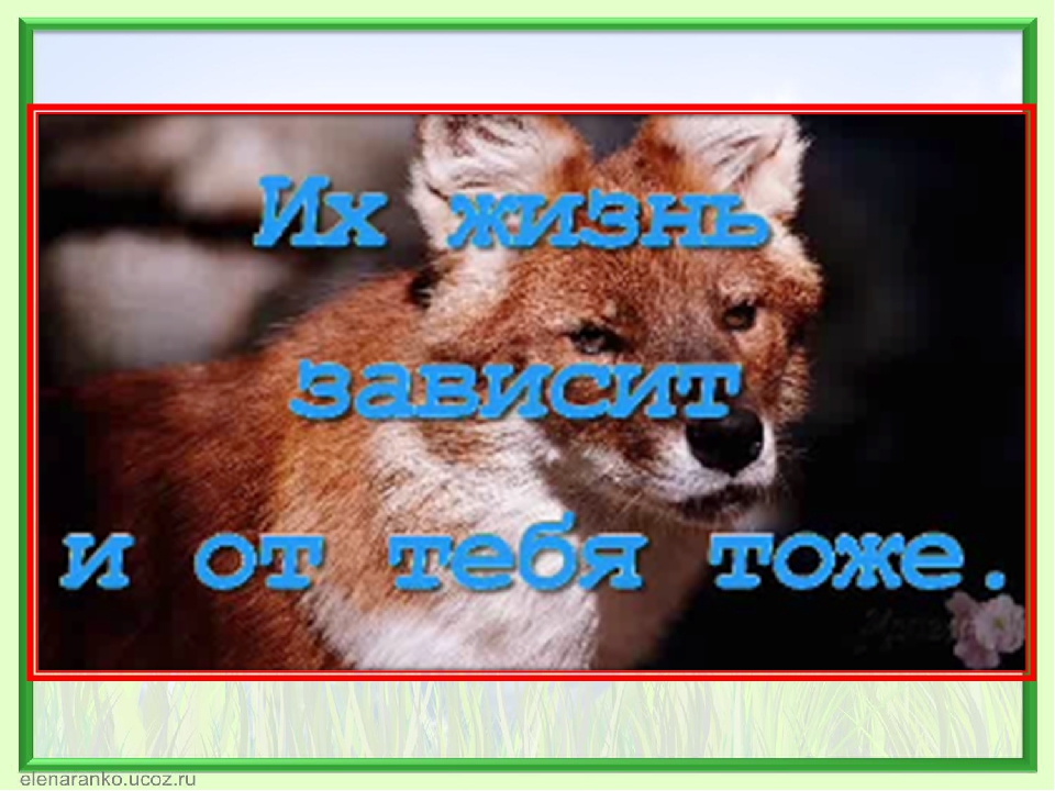Презентация к конкурсу чтецов " Сохраним природу!"