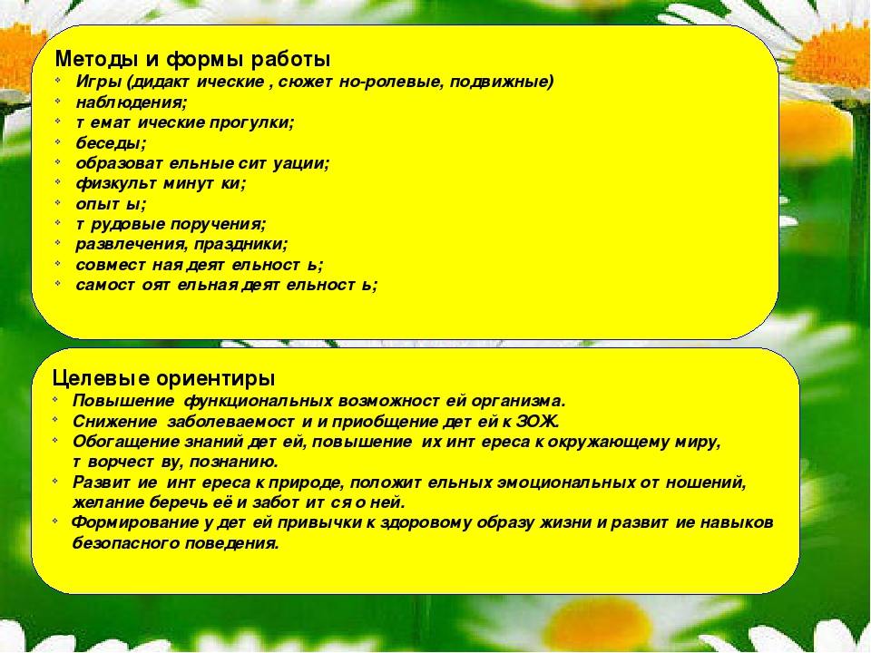 План работы по пдд в доу на летний период