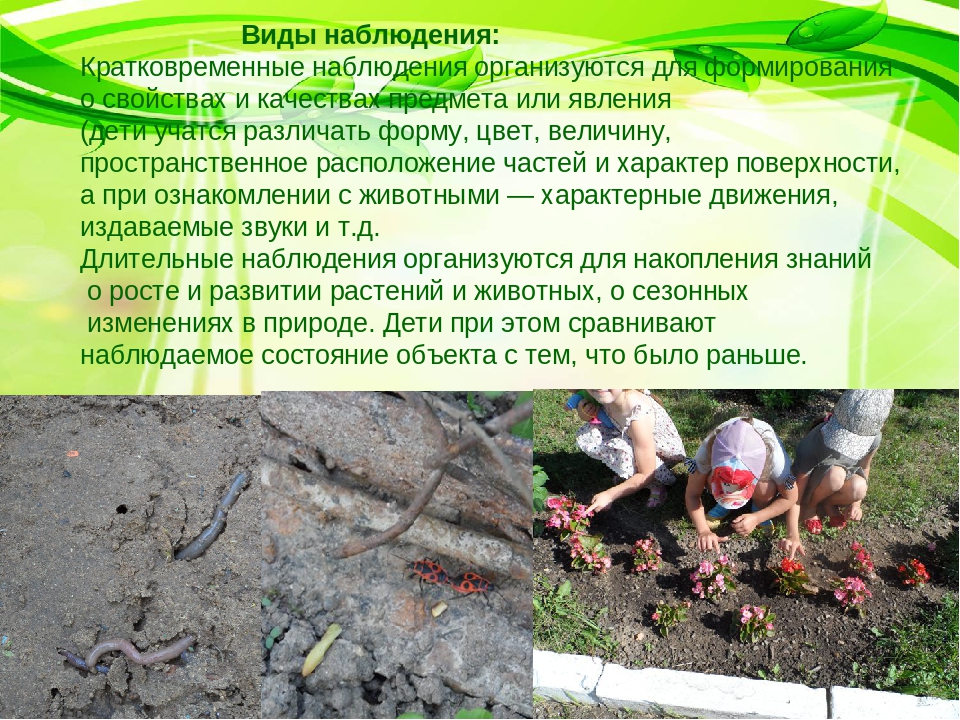 Презентация из опыта работы по экологическому воспитанию дошкольников
