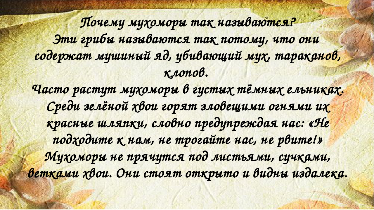 НОД по ЗОЖ для детей средней группы "Грибы, какие они?"