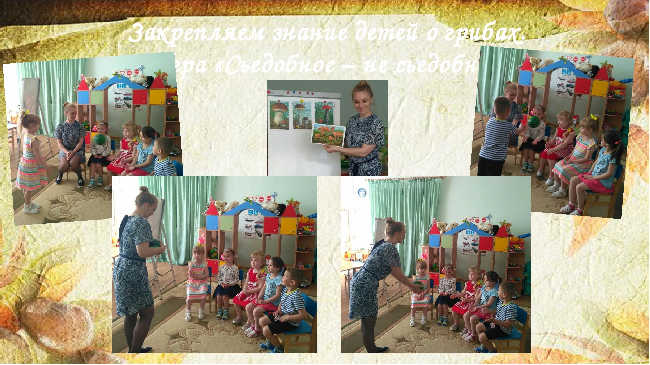 НОД по ЗОЖ для детей средней группы "Грибы, какие они?"