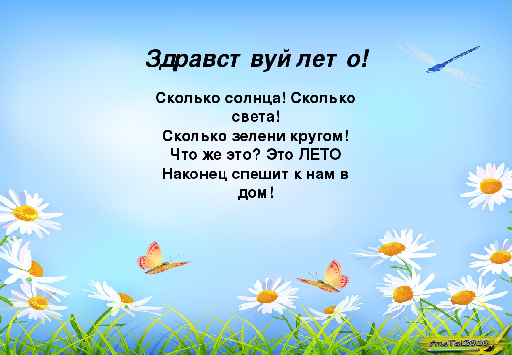 Сколько солнца сколько света. Здравствуй лето сколько солнца. Здравствуй лето сколько солнца сколько света. Сколткосолнца сколько света.