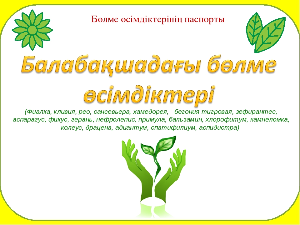 Паспорт "Балабақшадағы гүлдер өсімдіктері"