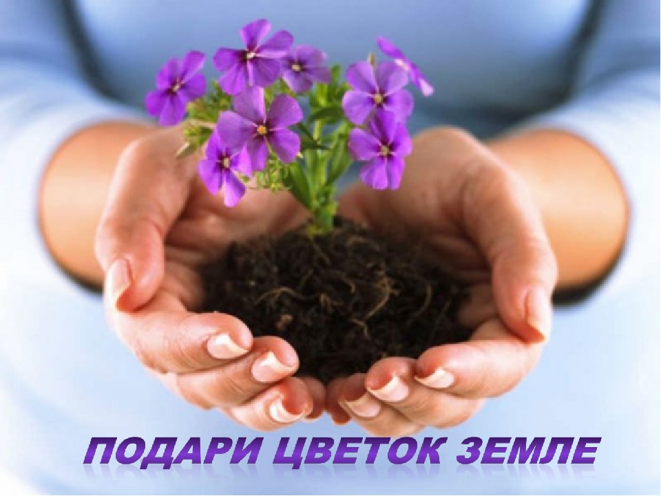 Проект «Подари цветок Земле»