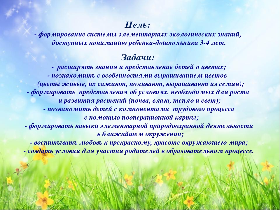 Проект «Подари цветок Земле»