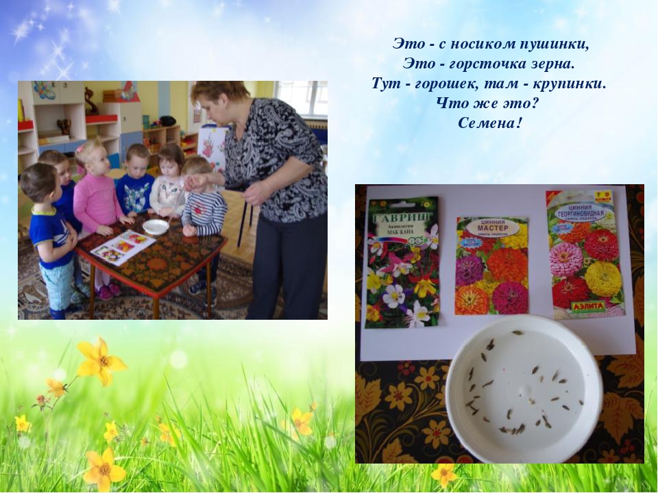 Проект «Подари цветок Земле»